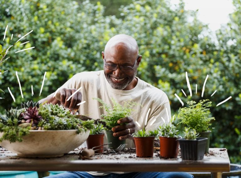 Specialty Fertilizer & All Purpose Plant Food Winston Weaver