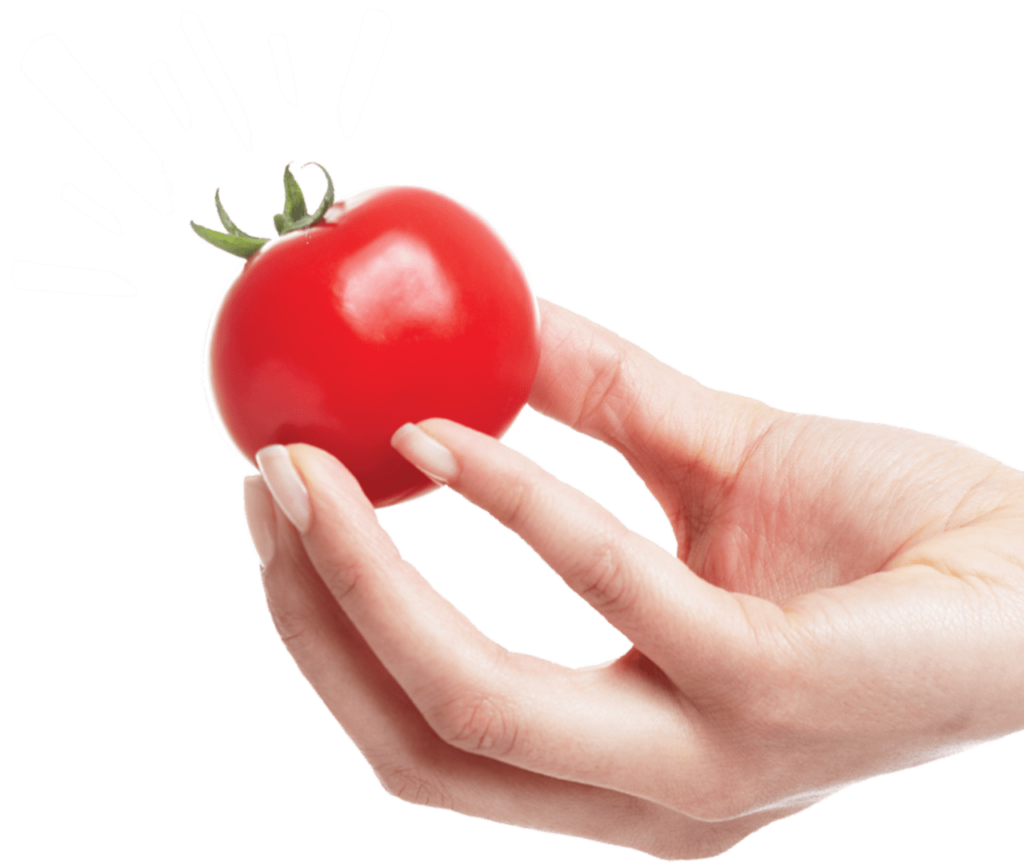 Specialty Fertilizer & All Purpose Plant Food | Winston Weaver