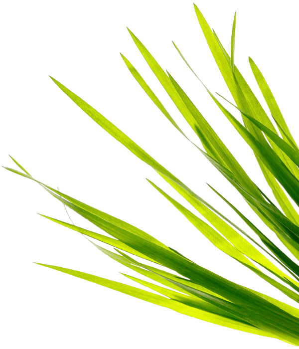 Pelletized Limestone Weaver